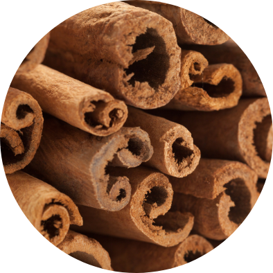 Dizajn bez názvu (12)